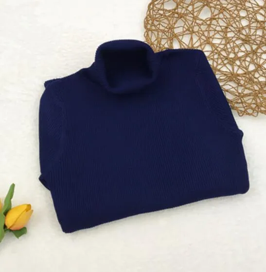 Turtle Neck Ribbed Knitted Dress